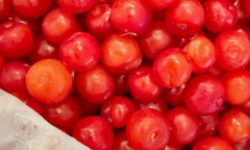 앵두 사는 꿈의 의미