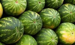 수박 보는 꿈의 의미