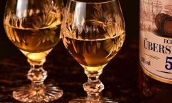 친구들과 술 마시는 꿈의 의미