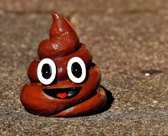 강아지 똥 치우는 꿈의 의미