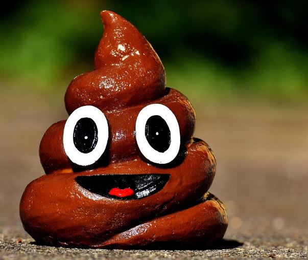 개똥 먹는 꿈의 의미