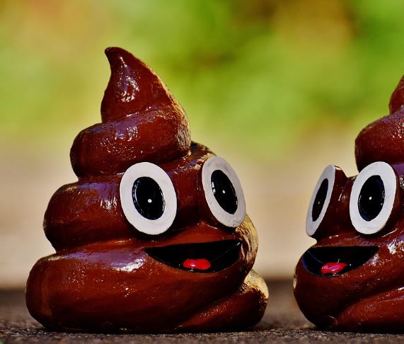 개똥 밟은 꿈의 의미