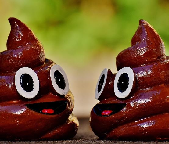 개똥 만지는 꿈의 의미