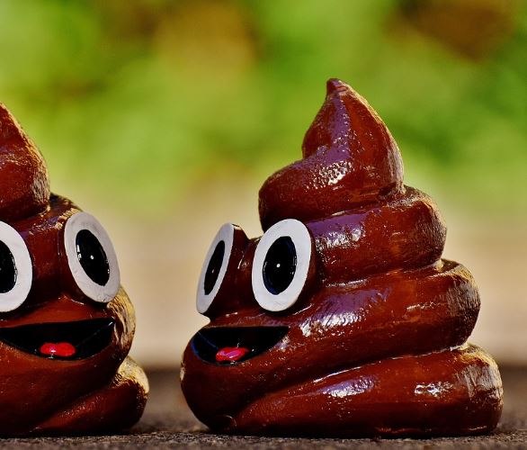 개가 똥누는 꿈의 의미