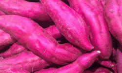 고구마 삶는 꿈의 의미