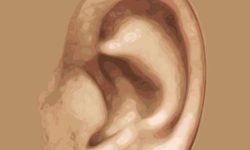 귀에서 고름이 나오는 꿈의 의미