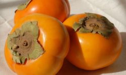 감을 선물 받는 꿈의 의미