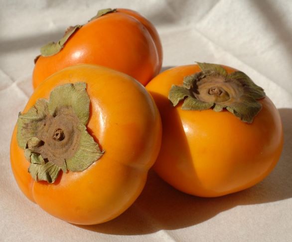 감을 선물 받는 꿈의 의미