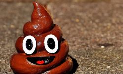 황금색 똥 누는 꿈의 의미