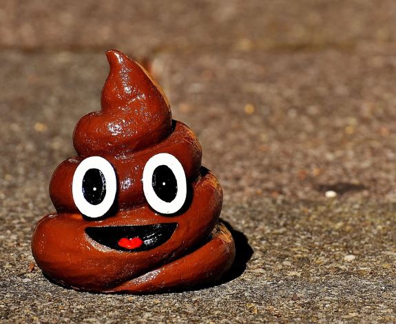 황금색 똥 누는 꿈의 의미