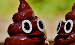 황금색 똥 태몽 꿈의 의미