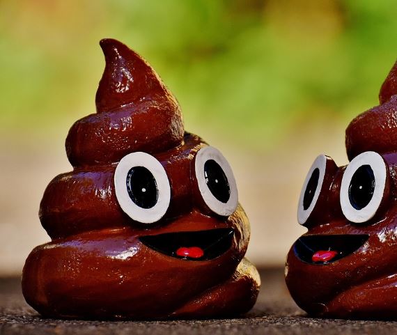 황금색 똥 태몽 꿈의 의미