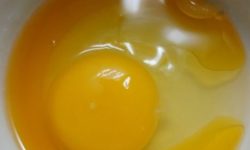 날계란 꿈의 의미