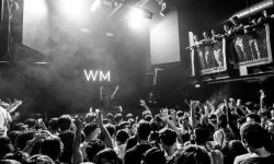 연예인을 만나는 꿈의 의미