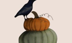 까마귀 죽이는 꿈의 의미