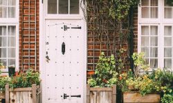 고향집 가는 꿈의 의미