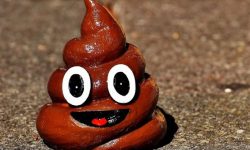 검정색 똥 꿈의 의미