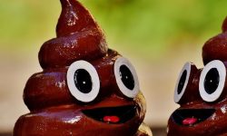 까만 똥 꿈의 의미