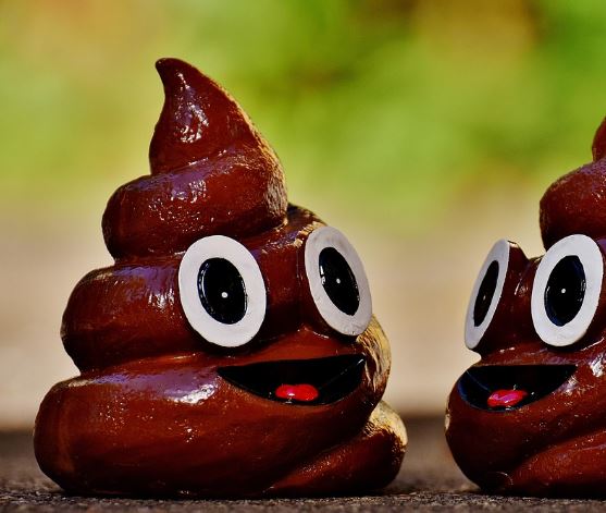 까만 똥 꿈의 의미