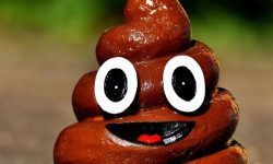 까만 똥 싸는 꿈의 의미