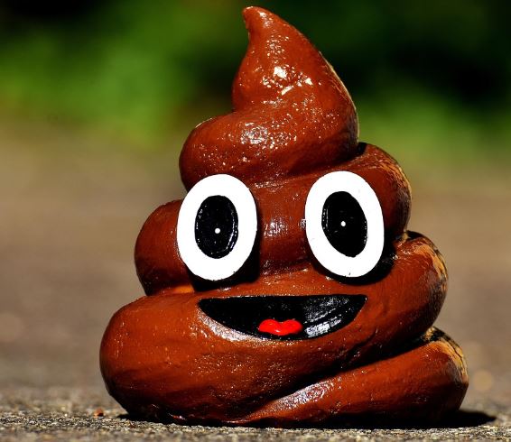 까만 똥 싸는 꿈의 의미