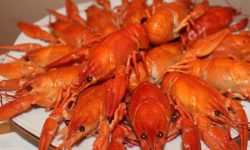 바닷가재 잡는 꿈의 의미