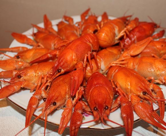 바닷가재 잡는 꿈의 의미