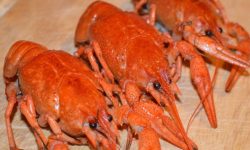 가재한테 물리는 꿈의 의미