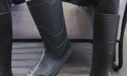 장화신는 꿈의 의미