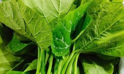 호박잎 꿈의 의미