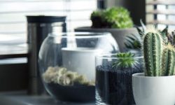 화분이 깨지는 꿈의 의미