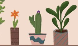 화분을 사는 꿈의 의미