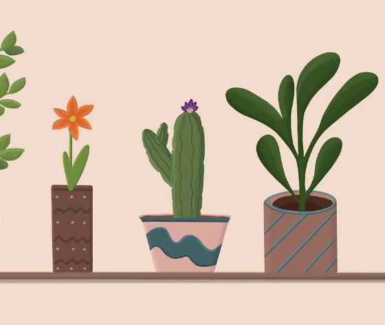 화분을 사는 꿈의 의미