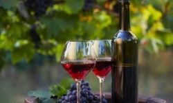 포도주 꿈의 의미