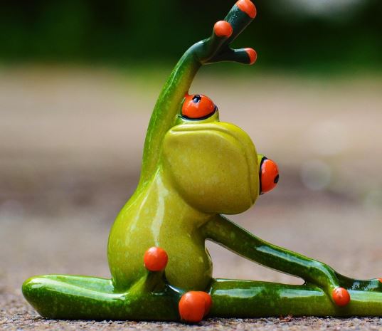 개구리 태몽 꿈의 의미