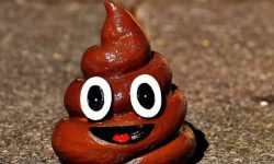 설사똥 꿈의 의미