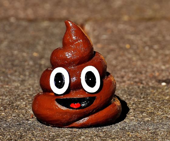 설사똥 꿈의 의미