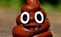 설사 꿈의 의미