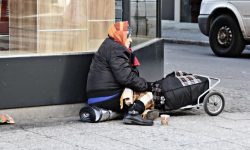 거지가 되는 꿈의 의미