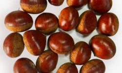 밤 까는 꿈의 의미