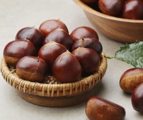 밤을 많이 줍는 꿈의 의미