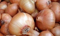 양파 꿈의 의미