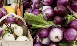 양파 사는 꿈의 의미