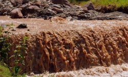 썩은 물 꿈의 의미