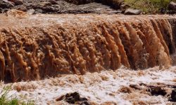 썩은 물 마시는 꿈의 의미