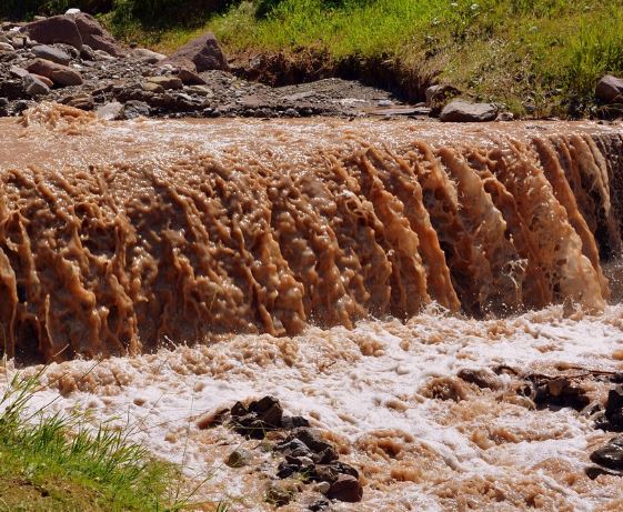 썩은 물 마시는 꿈의 의미