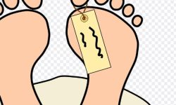 시체가 많은 꿈의 의미