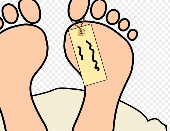 시체가 많은 꿈의 의미