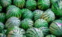 수박을 사는 꿈의 의미