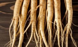 도라지 꽃 꿈의 의미